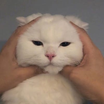 Vidya Sarin avatar